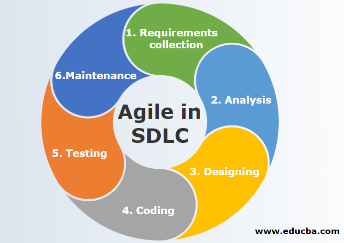 SDLC PHASES